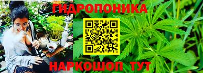 2c-b Шебекино